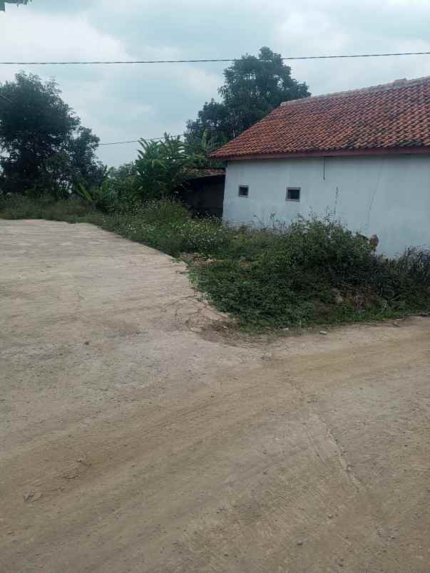 dijual tanah kp cibodas girang desa