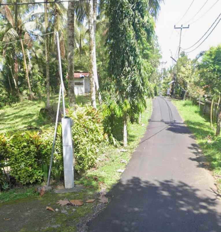 dijual tanah lalanglinggah tabanan bali