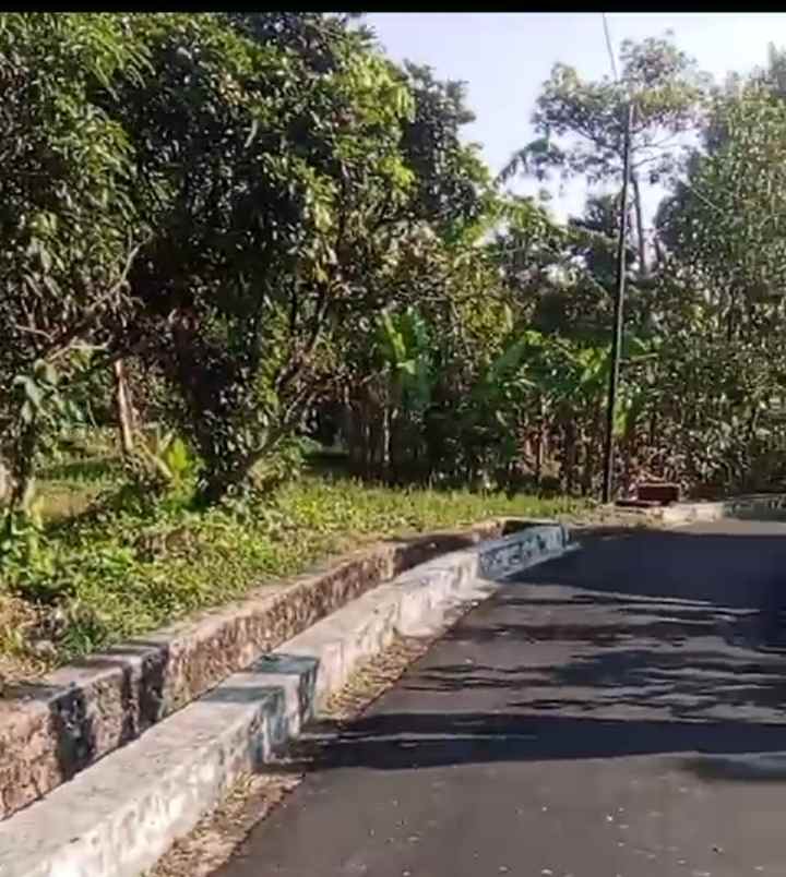 dijual tanah linggar jati