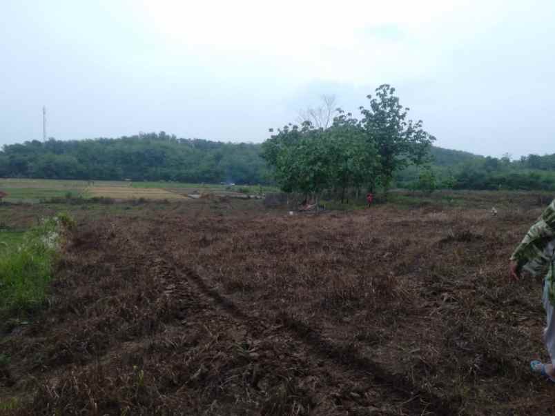 dijual tanah lokasi ds kananga kec cimahi kab kuningan