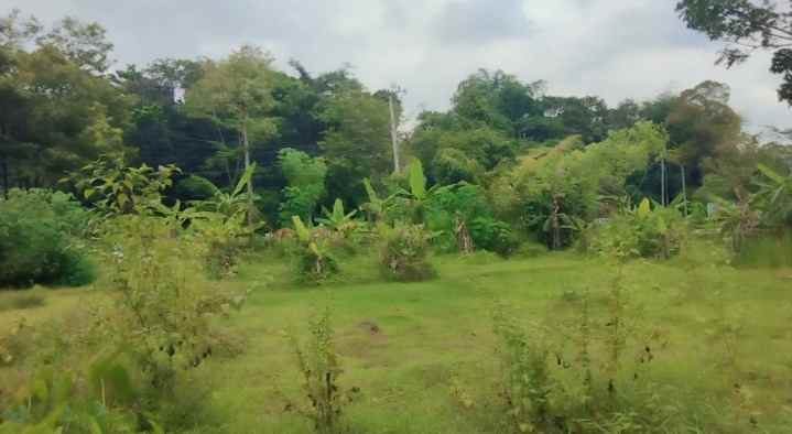 dijual tanah mandirancan kab kuningan