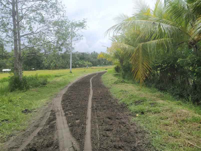 dijual tanah melaya jembrana bali