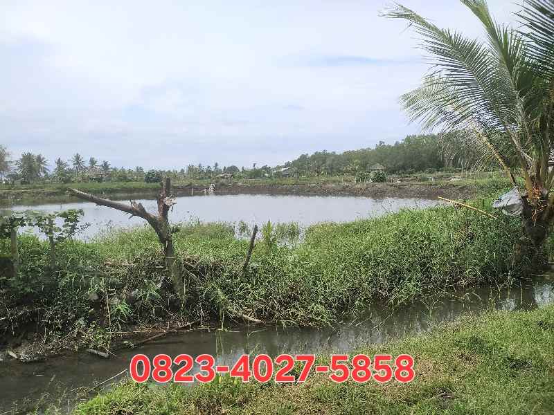 dijual tanah melaya jembrana bali