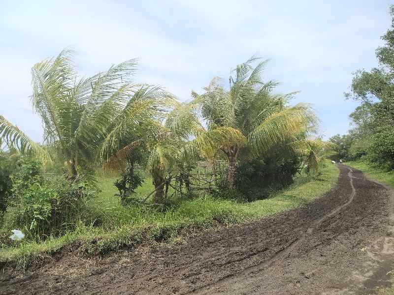 dijual tanah melaya jembrana bali