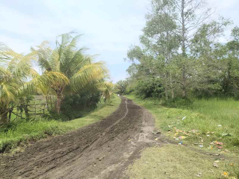 dijual tanah melaya jembrana bali