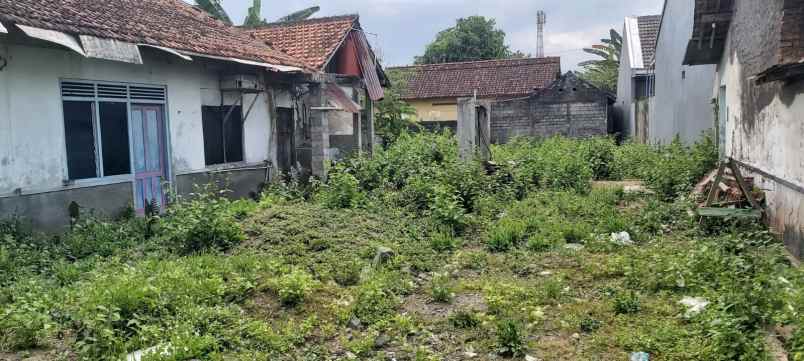 dijual tanah murah di berbah