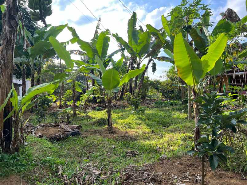 dijual tanah ngargoyoso karanganyar