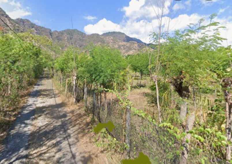 dijual tanah pemuteran buleleng bali