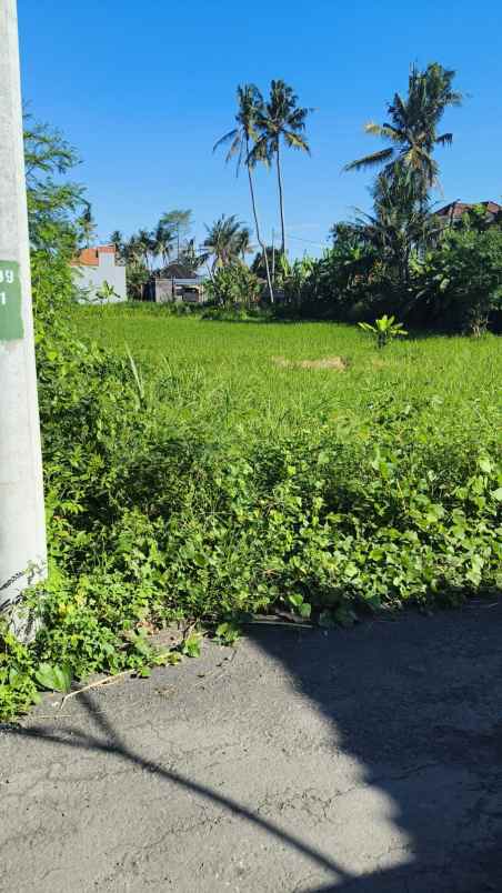 dijual tanah pering gianyar