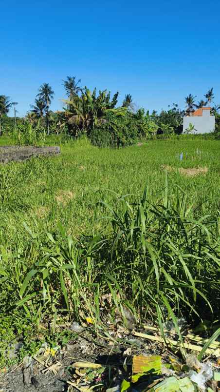 dijual tanah pering gianyar