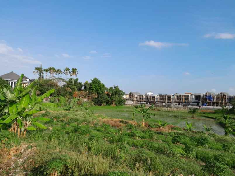 dijual tanah premium lokasi kerobokan