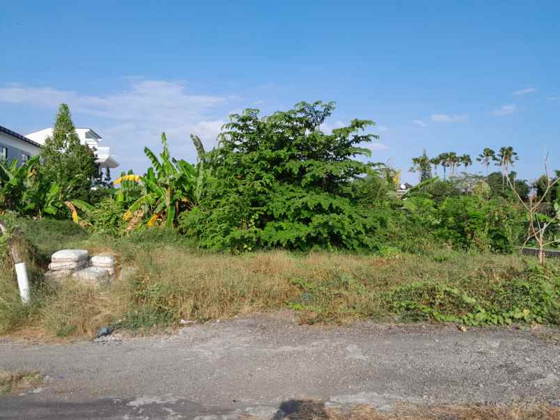 dijual tanah premium lokasi kerobokan