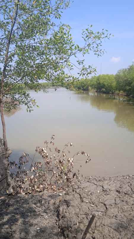 dijual tanah pulau ujung pangkah gresik