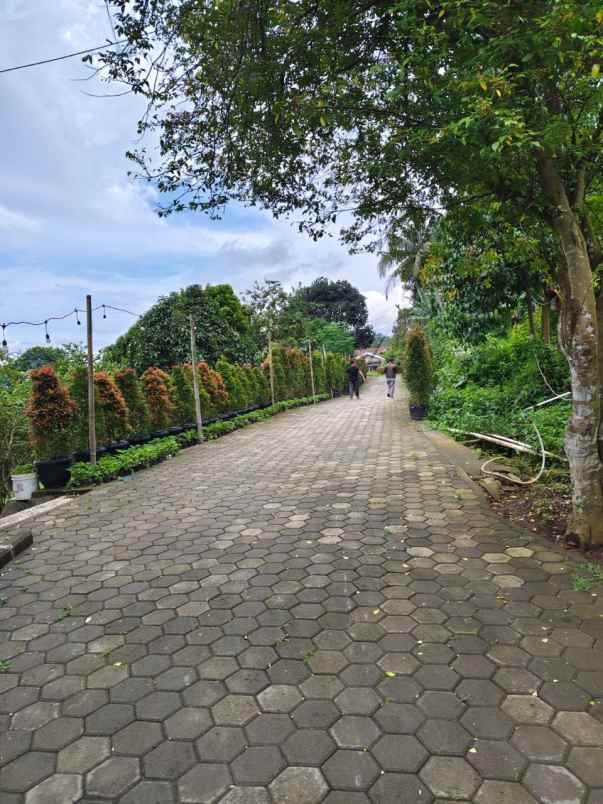 dijual tanah sukaharja kec cijeruk