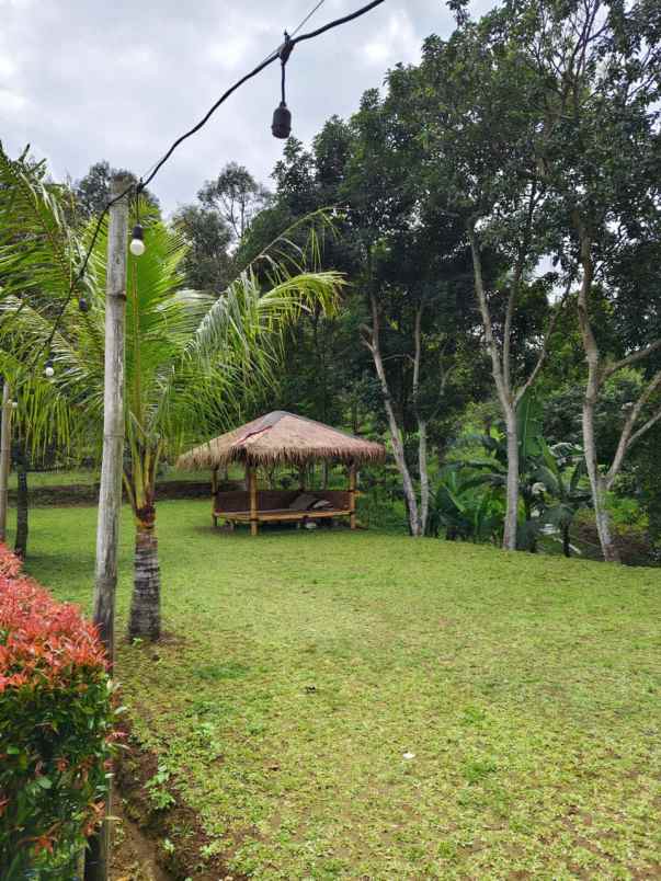 dijual tanah sukaharja kec cijeruk