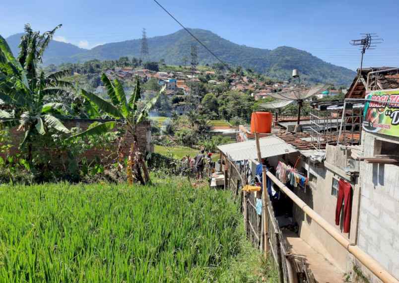 dijual tanah sukamanah