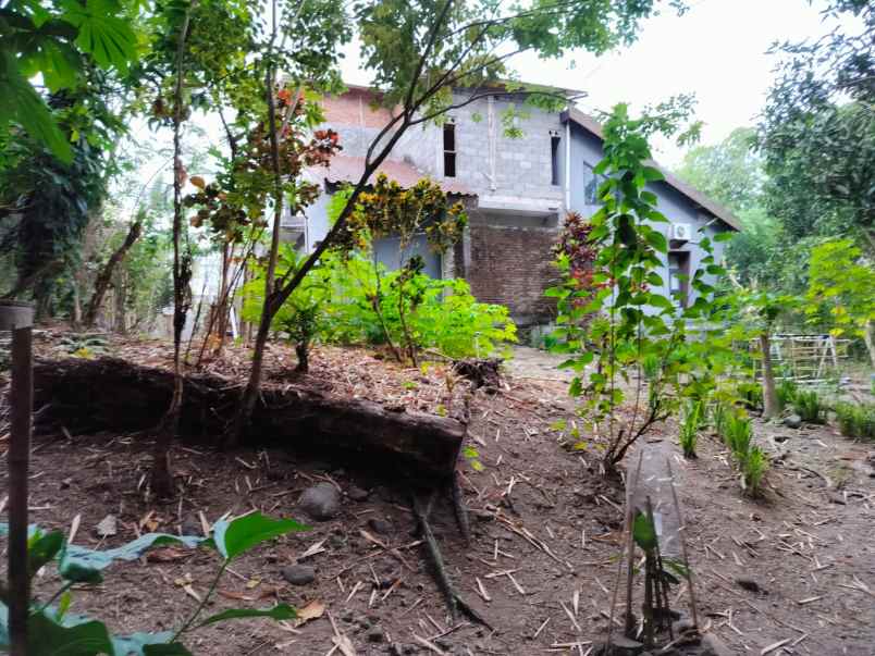 dijual tanah sukoharjo kec ngaglik kab