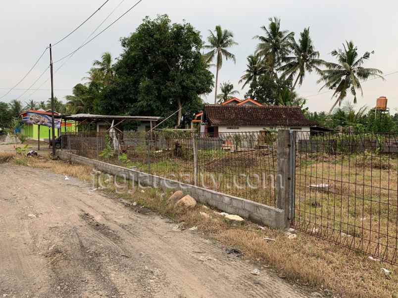 dijual tanah triharjo wates kulonprogo