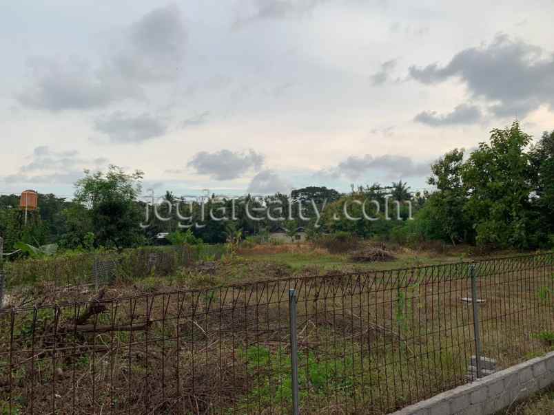 dijual tanah triharjo wates kulonprogo