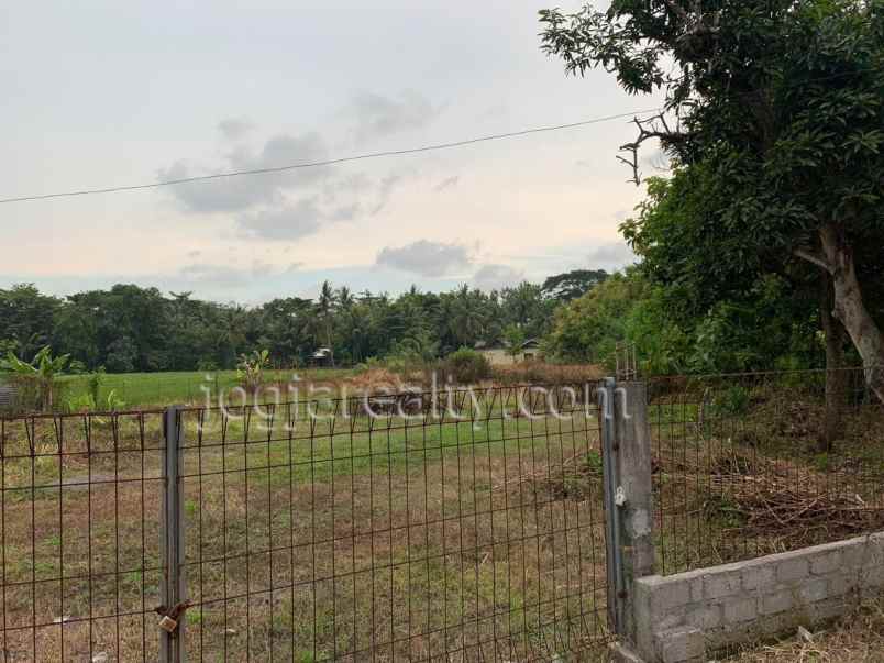 dijual tanah triharjo wates kulonprogo