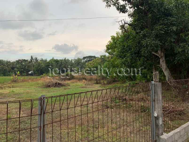 dijual tanah triharjo wates kulonprogo