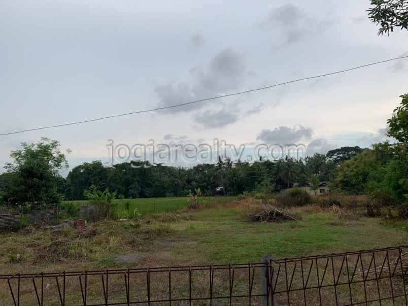 dijual tanah triharjo wates kulonprogo