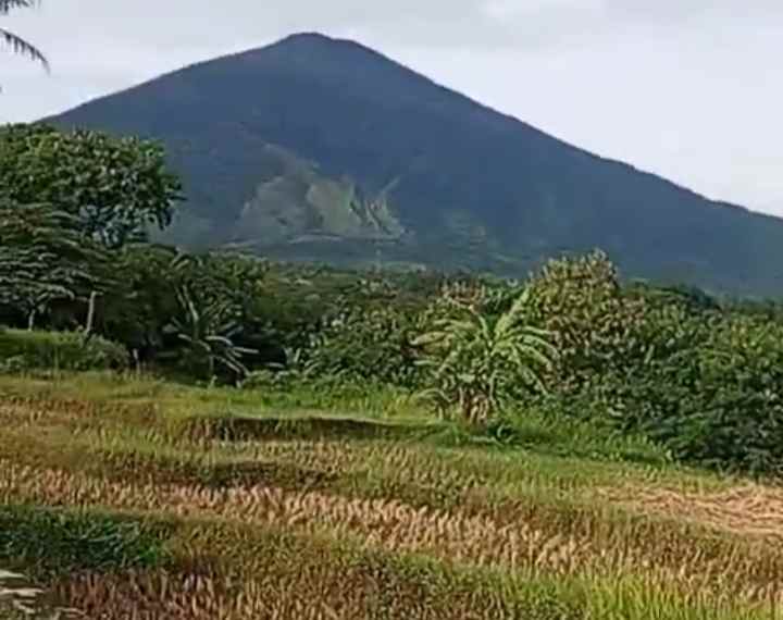 dijual tanah view gunung pinggir jalan