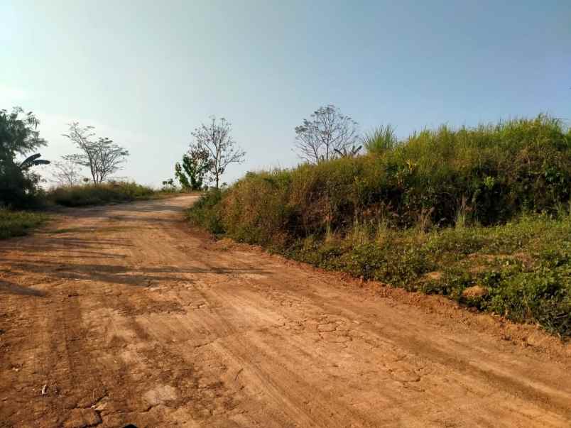 dijual tanah zona kuning di sadeng gunung pati