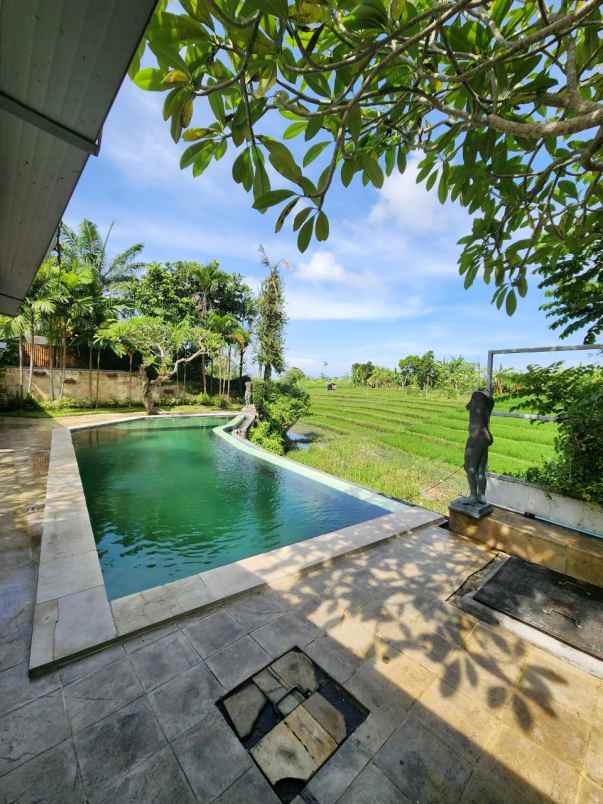 dijual villa jalan berawa canggu kuta