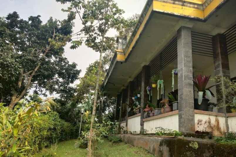 dijual villa ledug kec prigen kab pasuruan