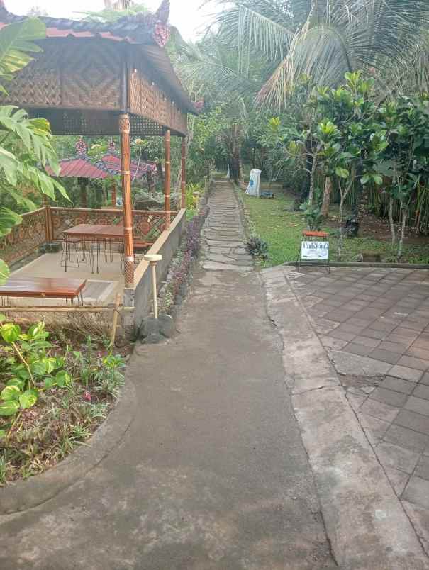 dijual villa menawan view sawah dan sungai yang indah