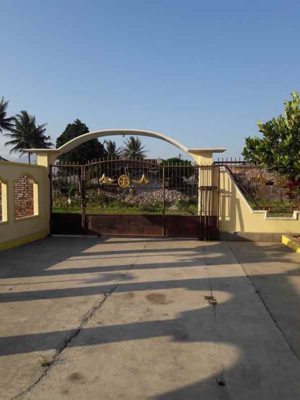 disewakan rumah jl raya cipanas belakang