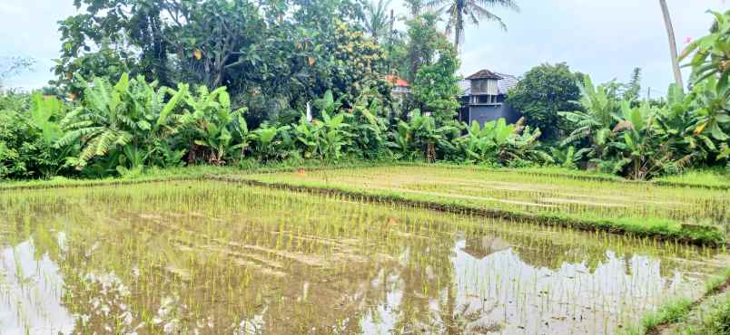 disewakan tanah jalan ahmad yani utara