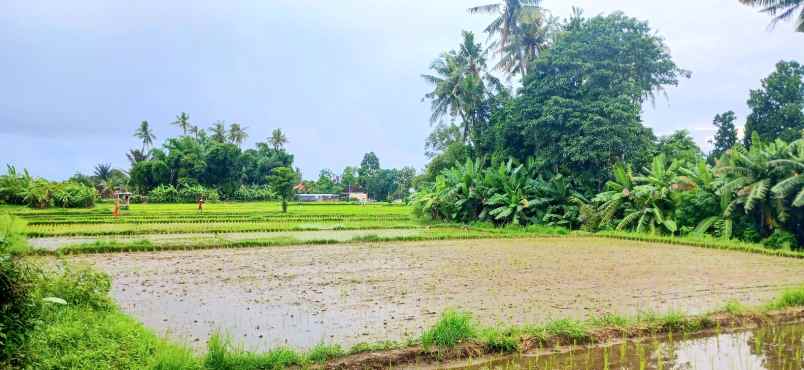 disewakan tanah jalan ahmad yani utara