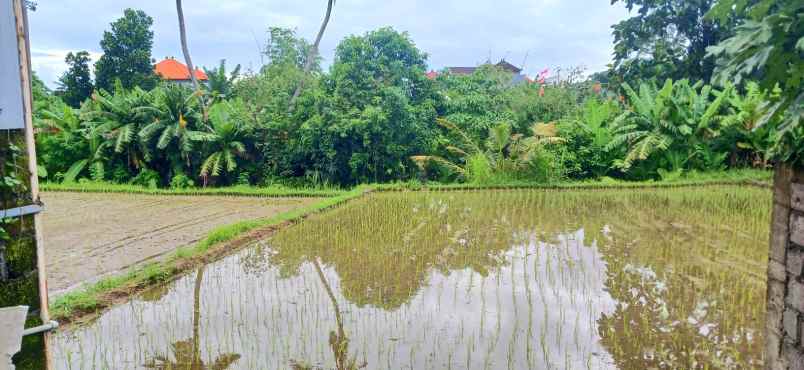 disewakan tanah jalan ahmad yani utara