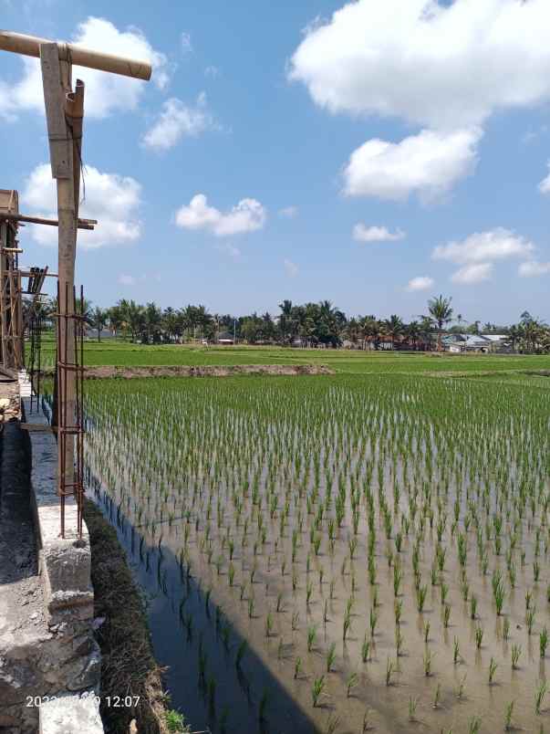 disewakan tanah lodtunduh ubud bali