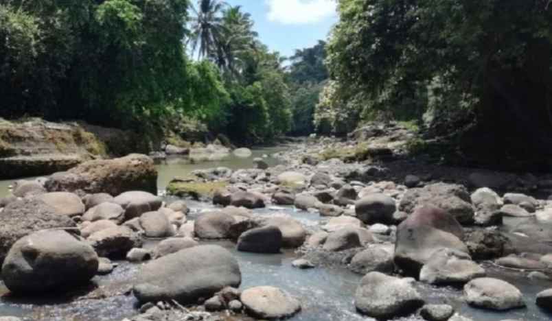 disewakan tanah mambang tabanan bali