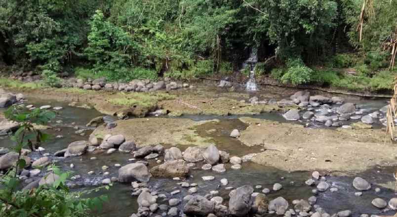 disewakan tanah mambang tabanan bali