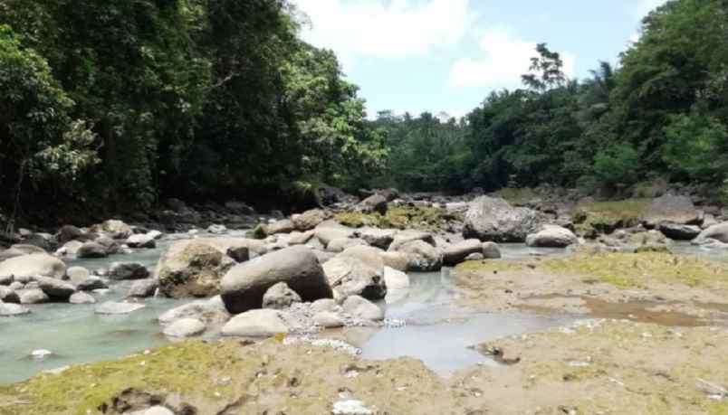 disewakan tanah mambang tabanan bali