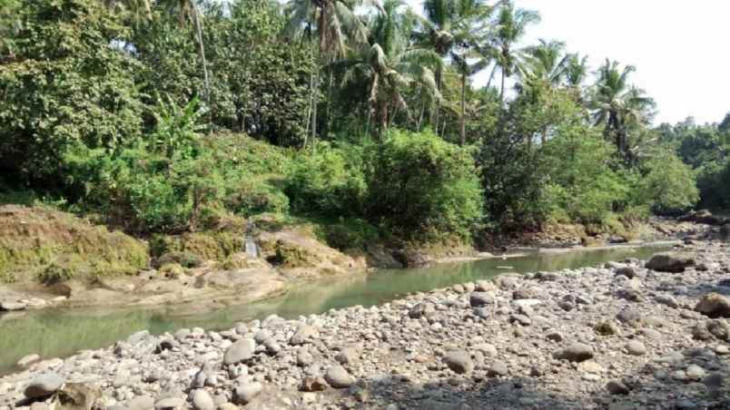 disewakan tanah mambang tabanan bali