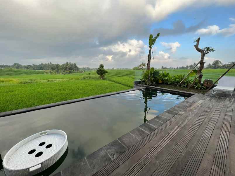 disewakan villa luxury view sawah lokasi nyanyi