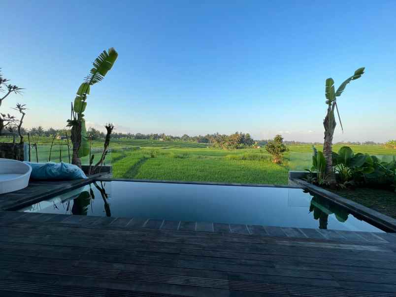 disewakan villa luxury view sawah lokasi nyanyi