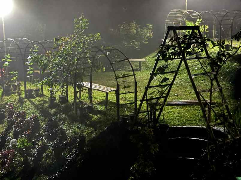 disewakan villa villa triple a saung bambu