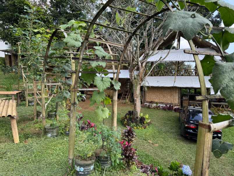 disewakan villa villa triple a saung bambu