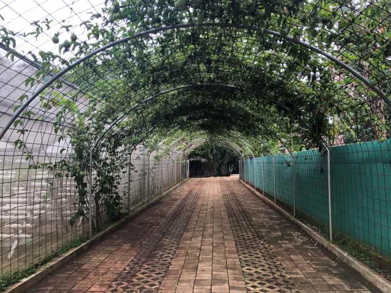 jual tanah bonus greenhouse rumah dan kantor dekat bsd