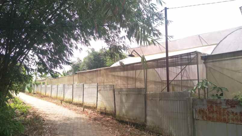 jual tanah bonus greenhouse rumah dan kantor dekat bsd