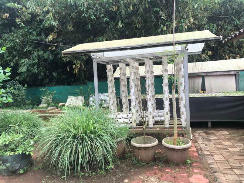 jual tanah bonus greenhouse rumah dan kantor dekat bsd