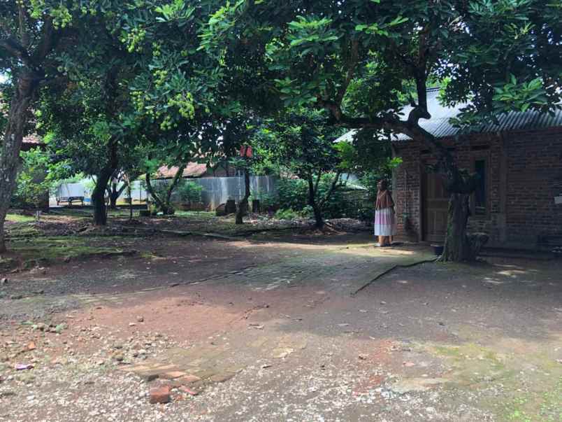 jual tanah kebon serta bangunan rumah