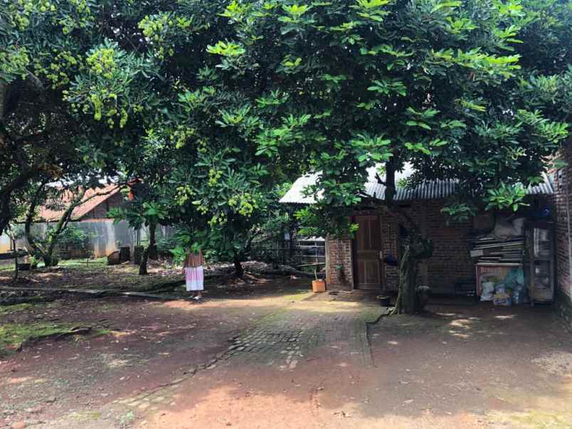 jual tanah kebon serta bangunan rumah