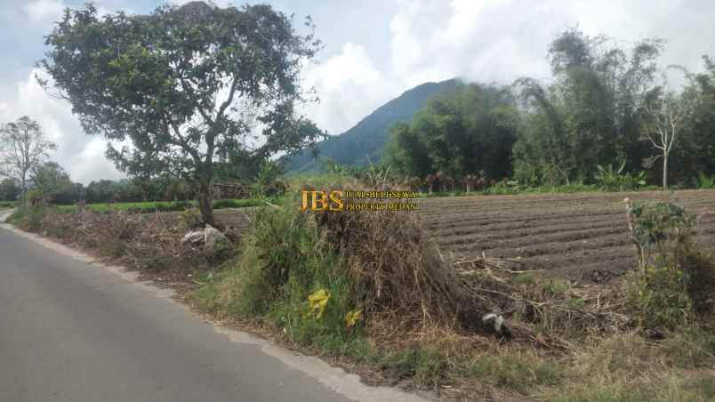 jual tanah kosong di daerah tanjung barus berastagi